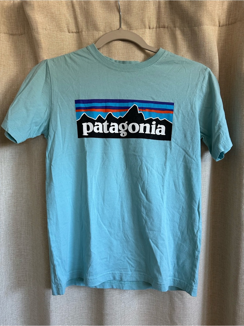 NWOT Patagonia light turquoise tee with multicolor classic logo | Size Med (10)